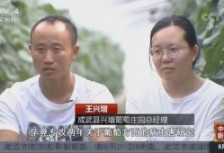 中国年轻人爆料新闻视频,中国年轻人爆料新闻视频背后的真相