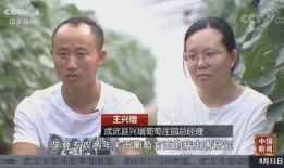 中国年轻人爆料新闻视频,中国年轻人爆料新闻视频背后的真相