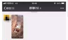 猪瘟最新爆料视频,揭秘病毒传播真相与防控措施