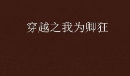 我为卿诳在线观看高清,在线高清观看，浪漫爱情剧精彩呈现