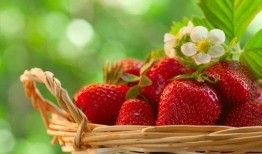 娱乐圈爆料 草莓水果,草莓水果背后的明星故事