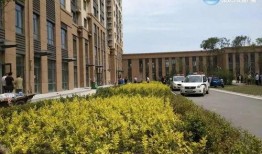 哈尔滨爆料女子死亡视频,哈尔滨女子死亡视频引发关注