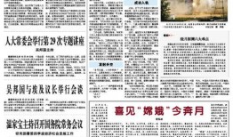 新闻线索爆料通报模板,揭秘事件真相