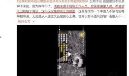 疑似水神爆料的视频下载,视频内容深度解析