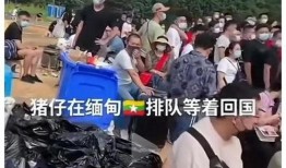 缅北被害人爆料视频,揭秘缅北地区黑暗真相