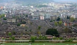 阆中各类爆料事件最新