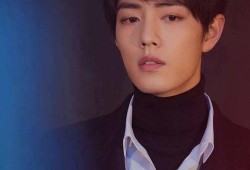 肖战最新微博被爆料,引发网友热议