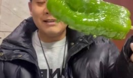 文安吃瓜网红事件,揭秘网络舆论背后的真相