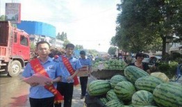 文安吃瓜网红事件,揭秘网络舆论背后的真相