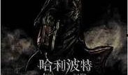 哈利波特4火焰杯在线观看,火焰杯在线观影指南：揭秘魔法世界的激情对决