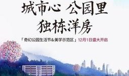 今日头条地产爆料,揭秘楼市最新动态与趋势