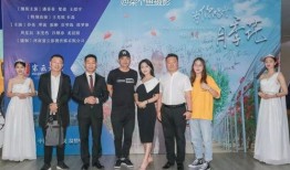 南阳最新爆料事件,揭秘事件背后惊人真相