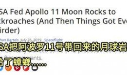 微量尘埃在线观看,在线探索微观世界的奇幻之旅