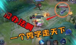 老鸟王者爆料视频大全,视频大全中的电竞高手传奇