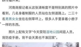 石家庄复工爆料最新消息,有序推进，共筑复苏之路