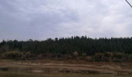 水库大鱼爆料视频,水库大鱼惊现！揭秘神秘爆鱼视频背后的真相