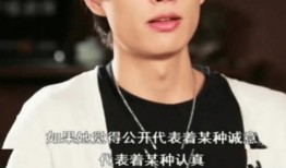 许嵩冯禧爆料视频,娱乐圈背后的真相与争议