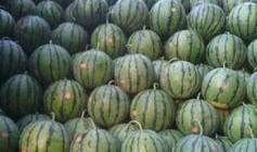 保定清苑最新吃瓜爆料,揭秘神秘事件背后的真相