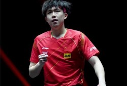 王楚钦堂嫂爆料视频播放