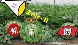 娱乐吃大瓜,明星们的“大瓜”盛宴