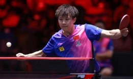 王楚钦堂嫂爆料视频播放