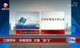 梧州新闻爆料热线,倾听民声，守护城市安全