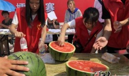 保定清苑最新吃瓜爆料,揭秘神秘事件背后的真相