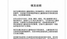 网友爆料飞机事件视频大全,飞机事件视频大全，惊心动魄瞬间回顾