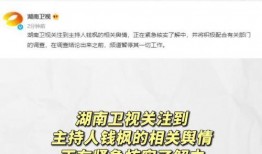 娱乐圈吃瓜暗语大全,吃瓜暗语大揭秘，带你领略明星幕后风云
