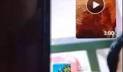 猪瘟最新爆料视频,揭秘病毒传播真相与防控措施