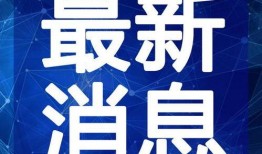 玉林臭豆腐爆料视频最新,揭秘网络热议背后的真相与争议