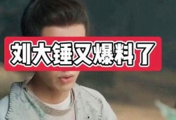 刘大锤爆料古偶视频,揭秘幕后真相，带你走进神秘古偶世界