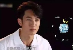 吴尊爸爸爆料丽吟视频,一段不为人知的家庭温馨瞬间