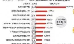 广州小学爆料最新消息,揭秘校园事件背后的真相