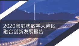 大湾区新闻爆料,重磅爆料揭示区域发展新趋势”