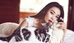娱乐大爆料张馨予,娱乐大爆料背后的真实人生
