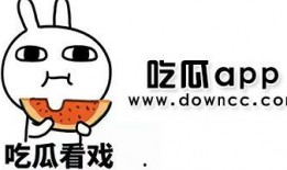 网红吃瓜网站漫画,揭秘娱乐圈背后的秘密与八卦