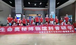 吴江爆料视频最新消息新闻,揭秘事件真相与幕后黑幕