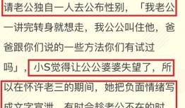 阳煤最新爆料配方,创新科技引领绿色能源新篇章