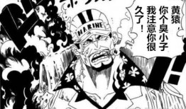 海贼王赤犬技能爆料视频,赤犬技能揭秘，全新战斗模式震撼来袭！