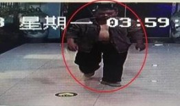 民警爆料罪犯视频播放,民警揭秘犯罪现场惊心动魄瞬间