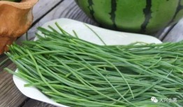 成县吃瓜网红是谁,揭秘网络红人的崛起之路