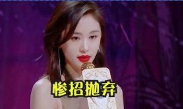 记者爆料王子文视频大全,精彩瞬间回顾