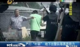 赵瑞龙被抓现场爆料视频,惊心动魄一幕引网友热议
