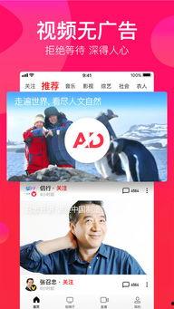 娱乐吃瓜视频模板下载,最新吃瓜视频，带你领略明星幕后故事！